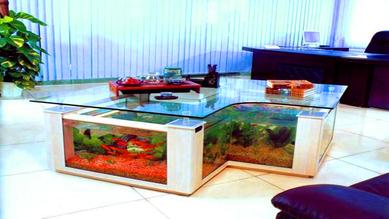 Fish Tank Coffee Tables You Will Love To Have